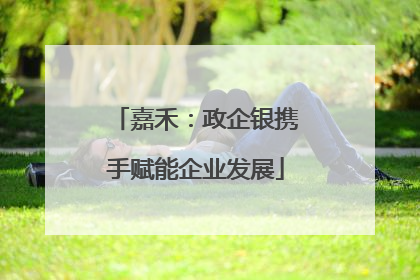 嘉禾：政企银携手赋能企业发展